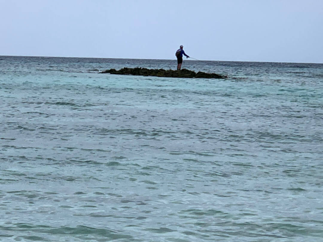 Coral Island Fishing 6