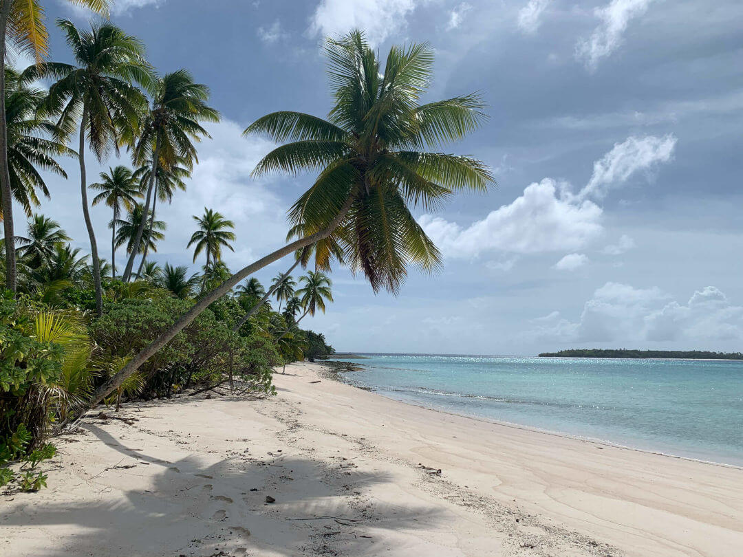 Coral Island Scenery 1