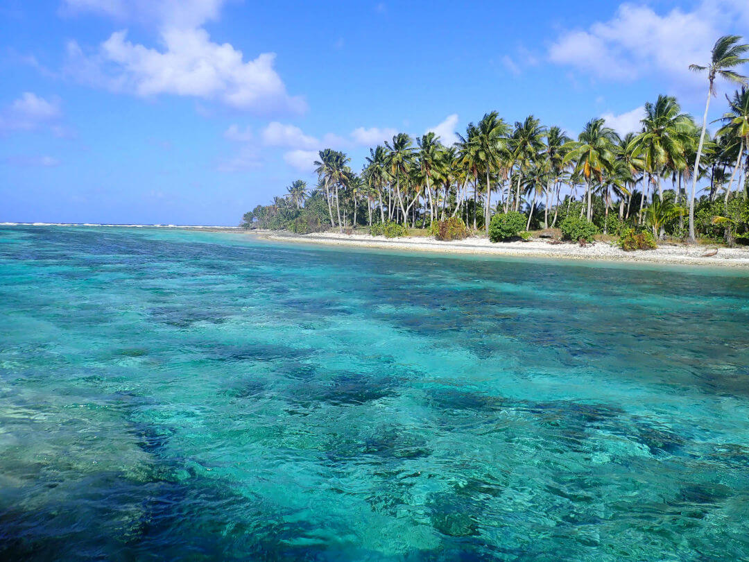 Coral Island Scenery 2