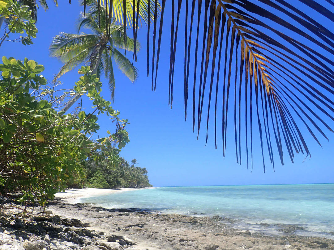 Coral Island Scenery 3